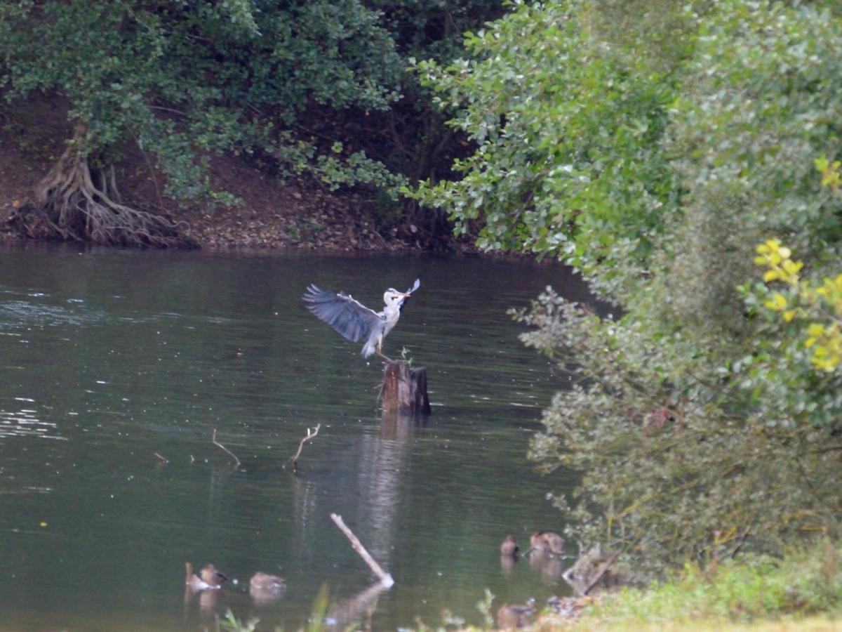 La Ravine Au Bord Du Loing Villa Montigny-sur-Loing Kültér fotó